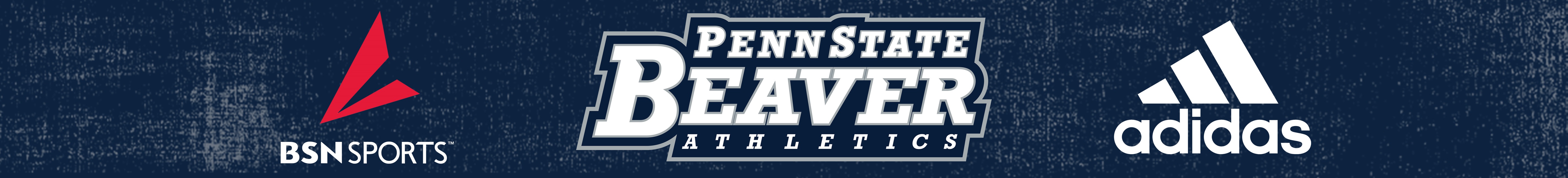 Sponsor Banner